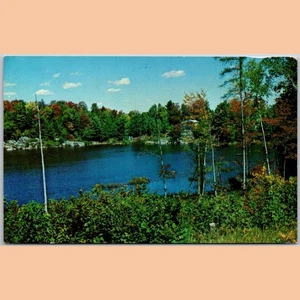 Postal Grundy Lake Provincial Park Ontario vista panorámica - Imagen 1 de 4