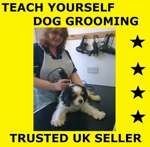 D063 Teach Yourself Dog Grooming - Instructional DVD - Picture 1 of 1