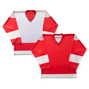 Detroit Red Wings NHL Replica Reversible Ice Hockey Jersey Sherwood - Picture 1 of 3