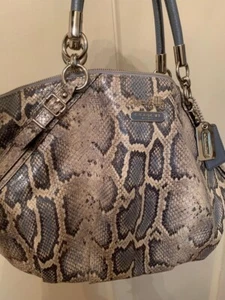 Authentic Coach Limited Edition Python Embossed Purse – Light Blue – Rare & Eleg - Picture 1 of 6
