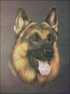 Counted Cross Stitch Kits Needlework Crafts Embroidery DIY-Portrait of Dogs 10 - Picture 1 of 6