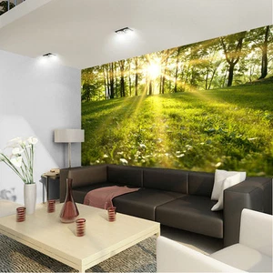 Morning Sunshine Green Wood Full Wall Mural Photo Wallpaper Print Home Decor Kid - Picture 1 of 9