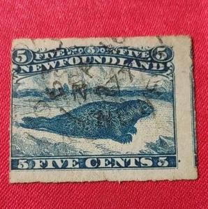 Newfoundland, dated1877Harp sealStamp, Scott# 40 Used , 💙 5Cts(2004-6) - Bild 1 von 3