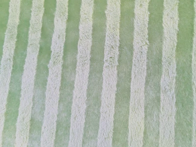 Tela de felpa Minky a rayas verdes pastel de 1,5 yardas para bebé guardería 55x60 Foto 1 de 4