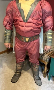 Shazam! Deluxe Adult Muscle Costume Size XL - Picture 1 of 8