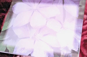 3 Free Printable background papers  - Picture 1 of 4