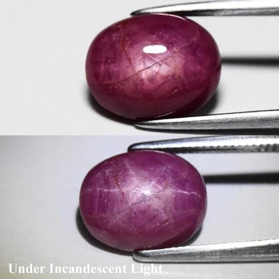 💎 4.65ct Oval Natural Purplish Red 6 Ray Star Ruby - Unheated, Malawi Gemstone - Image 1 of 4