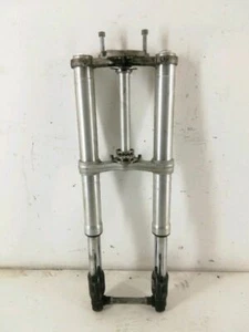 FORCELLA ANTERIORE BMW C EVOLUTION ELETTRICO (2014 - 2019) COMPLETA ORIGINALE - Foto 1 di 3