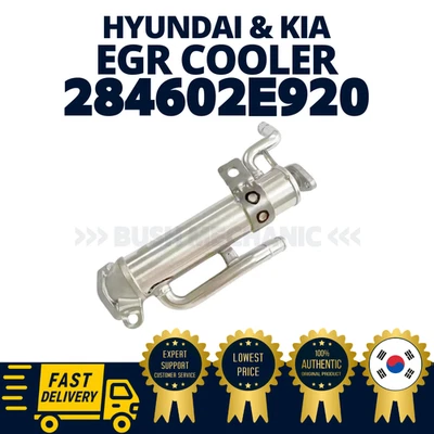 ПОДЛИННЫЙ OEM Hyundai Kia Egr кулер Sonata Optima 284602E920 - Изображение 1 из 2