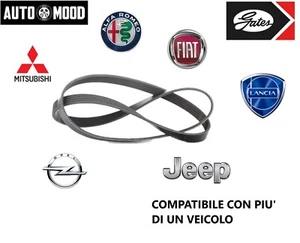 CINGHIA PV SERVIZI ALTERNATORE FIAT 500 GRANDE PUNTO EVO PANDA 312 1.2 1.4 BENZ. - Foto 1 di 3