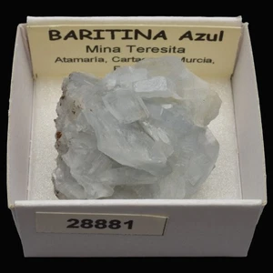 BARITINA Azul (Mina Teresita, Atamaria, Cartagena, Murcia) #28881 / Blue baryte - Picture 1 of 1