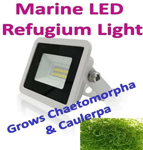 MARINE REFUGIUM LED LIGHT, CHAETO CAULERPA, MACRO ALGAE, SUMP TANK, FISH, REEF - Picture 1 of 5