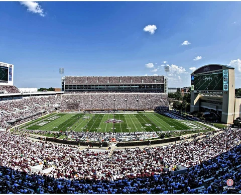 Mississippi State Bulldogs Unsigned Davis Wade Stadium Photo Cover