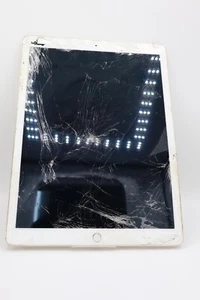Apple iPad Pro 12.9 Gold WiFi 1.Gen. A1584 32GB AKTIVIERUNGSSPERRE #4734 - Bild 1 von 6