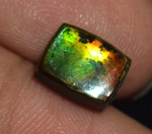 Natürlicher seltener Ammolith Edelstein Cabochon 2,30 ct lose Ammolith Edelstein - Bild 1 von 5