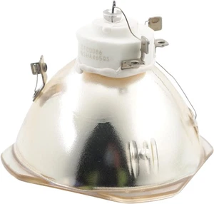 OEM 5J.JEH05.001 Lamp (Bulb Only) for BenQ Projectors with Ushio Bulb Inside - Picture 1 of 9