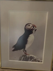 Thomas Mangelsen  "Atlantic Puffin"  10x14 Collector Edition 741/950 Framed - Picture 1 of 4