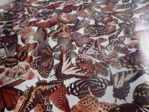 Goatskin leather hide Multicolored Earth Tones Butterflies print on White - Picture 1 of 8