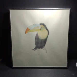 Tukan Aquarell gerahmt signiert - Bild 1 von 5