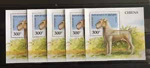 5x Benin - Dogs / Pets / Fauna - timbres - S/S - MNH** F106 - Picture 1 of 1