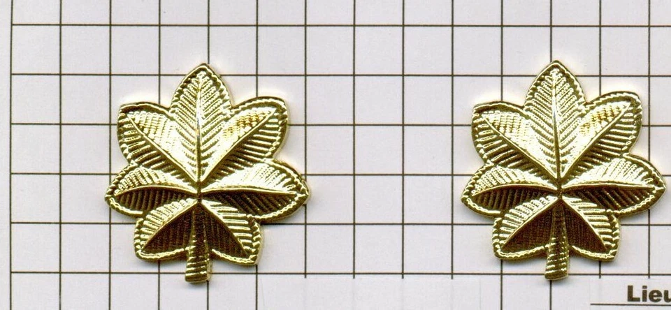 Charretera de latón mayor del Departamento de Policía Foto 1 de 1