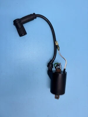 Husqvarna WR250 CR250 2006 00-13 bobina encendido Foto 1 de 4