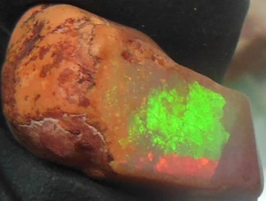Mexican Fire Opal 21.65ct, Natural Lapidary Rough, multi-color display - Picture 1 of 16