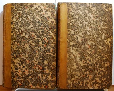 Histoire Critique et Militaire Guerres de la Revolution- Volumes 5 & 13 - 1820-4 - Image 1 of 4