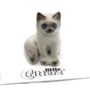 Little Critterz - Ragdoll Kitten "Samantha" LC021 - Mini animal de porcelana en caja - Imagen 1 de 7