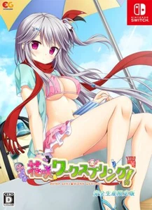 ¡Muelle de trabajo Hanasaki! Edición Limitada con Bonus Nintendo Switch EGCS-00192 NUEVO - Imagen 1 de 6