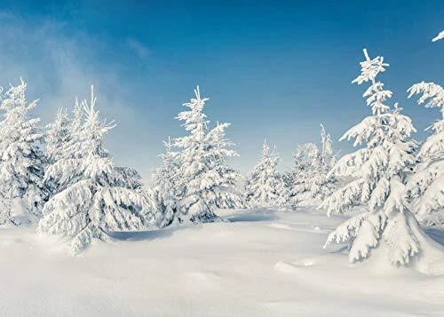 White Snow Wonderland Pine Tree Backdrop Christmas Winter Forest Photo Backdrop - Image 1 of 1