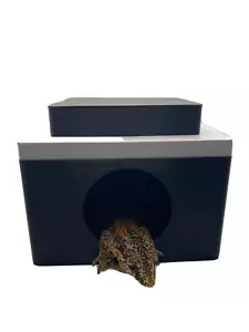 Cuero húmedo de reptil - Imagen 1 de 6