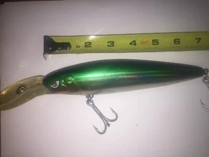 TRL FishCatcher Lure 7 inch 3.5 Oz Ideal Deep Diver for Big Game Salt Water Grn - Picture 1 of 1