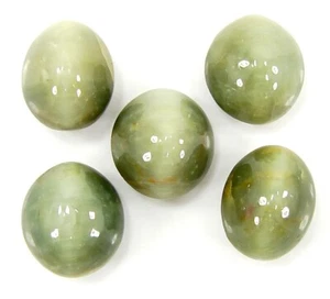 36.30 Ct Natural Cat's Eye Loose 12 mm Gemstone Stone Cab 5 Pcs Lot Stone - 1733 - Picture 1 of 3
