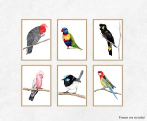 Set of Six Australian Bird Prints - south east Australian bird art - Picture 1 of 7