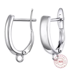 1Pair Blank Earrings Silver Color Lever Back Earring DIY Jewelry Crafts Findings - Picture 1 of 32