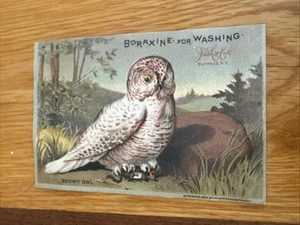 Boraxine For Washing- Owl- J. L. Larkin & Co-Buffalo, NY. Q539 - Picture 1 of 2