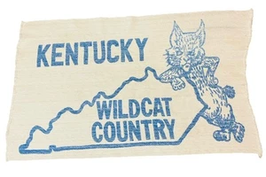 Vtg 70's UK Kentucky Wildcats Country Woven Throw Rug 37x23 - Picture 1 of 8