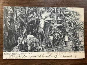 Bananen schneiden, Jamaika, BWI Postkarte ~ verschickt 1906, UDB - Bild 1 von 2