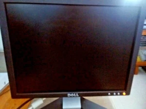 Écran DELL - LCD 38 cm - 15,60° puce - DELL Screen Monitor 15,60° Inch - Photo 1/11