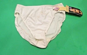80's Vassarette 18-226 Perfect Touch Embroidery Microfiber Hi-Cut Brief Pantie 8 - Picture 1 of 6