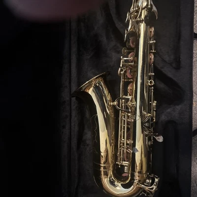 Saxofón alto Conductor 300 dorado con jarrón y accesorios Foto 1 de 4