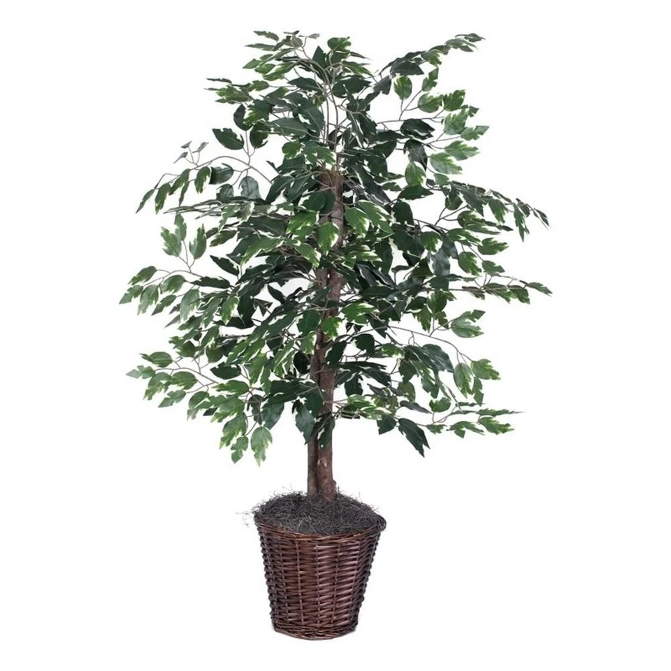 Arbusto de ficus abigarrado artificial Vickerman 4' con cesta de ratán en verde/blanco Foto 1 de 1
