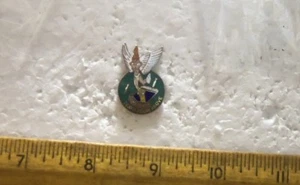 Death From Above – Nose Art Pin - Picture 1 of 4