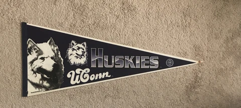 Connecticut/UConn Huskies Felt Blue & White Full Size Collegiate Felt Pennant Cover