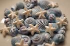 Edible Sugar Icing Sea Shells Starfish  Shimmer Cupcake Toppers Cake Mermaid 36