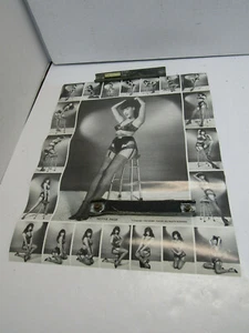 PÓSTER PIN-UP VINTAGE AÑOS 50 BUNNY YEAGER SEXY DEBAJO DE LA ROPA BETTIE PAGE 20 X 16 - Imagen 1 de 6