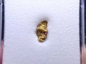 FDMINERALS: NATIVE GOLD NUGGET - Casas Don Pedro - Badajoz - Spain - oro 116 - Picture 1 of 4