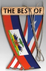 Puerto Rico and Haiti Unity Flagz Rear view mirror car flags mini banners - Picture 1 of 8