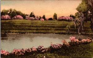 THE TERRACES Middleton Place Gardens Charleston S.C. DIVIDED BACK POSTCARD D4 - Picture 1 of 2